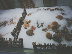 -集杰尚品海鲜烤肉自助餐厅(乳山振华店)