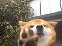 -西村叔叔的店(黄岛青医附院店)