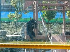 -栾川竹海野生动物园
