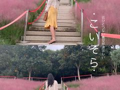 -牛岗山公园
