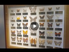 -上海昆虫博物馆