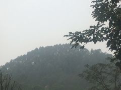 -美的鹭湖森林度假区