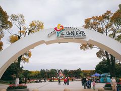 -上海鲜花港
