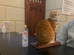 -逃脱反斗城沉浸剧情密室(北京路店)