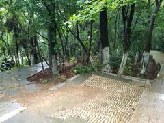 景点-云碧峰国家森林公园
