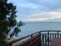 -卷心菜和避孕套餐厅(Pattaya)