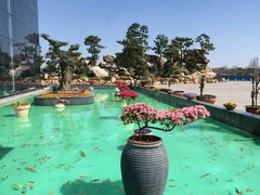 -南通洲际绿博园