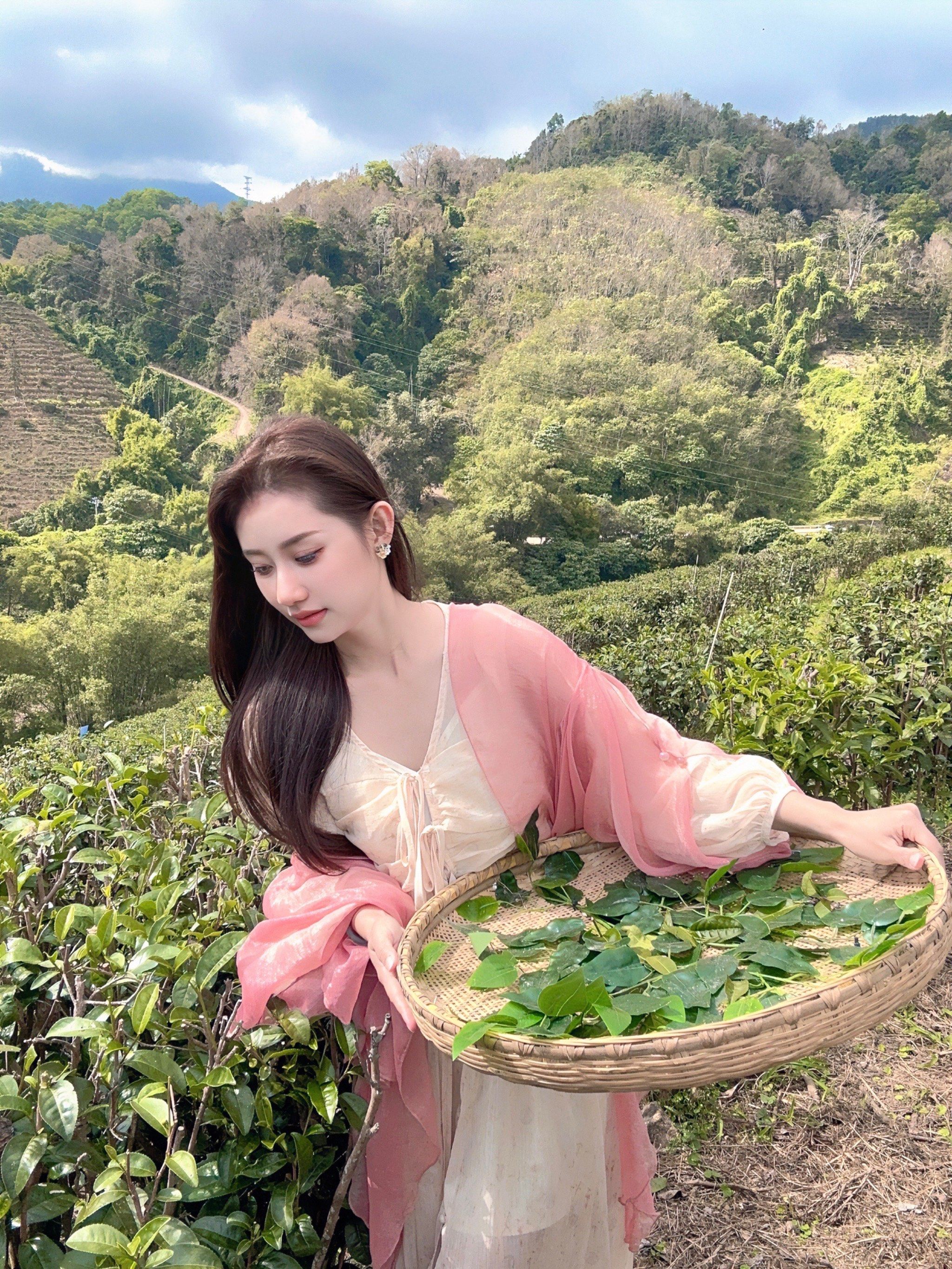  体验了一次真正的春茶开采艺术节