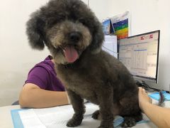 -创凡宠物医院·骨专科  猫科中心(西乡分院)