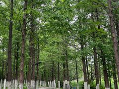 -云龙湖旅游景区