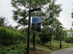 -东郊湿地公园