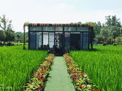 -洪湖家庭农场·团建·露营·会议