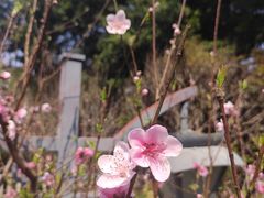 -乌山风景区