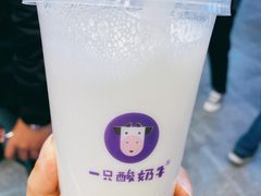 -一只酸奶牛(八一路店)