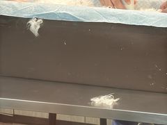 -半岛宠物医院24小时(科华中路店)