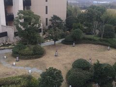 -上海崇明金茂凯悦酒店