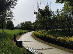 -澹台湖公园