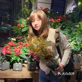 🧚🏻‍♀️长沙周末拍照打卡推荐