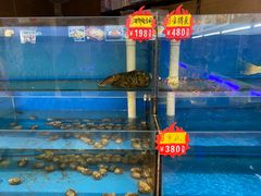-海王府百姓家宴•海鲜饺子(东城店)