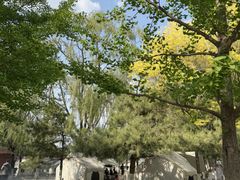 -长白岛森林公园