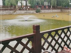 -尚庄度假村·庭台树下·户外烧烤·团建CS·轰趴营地(上庄水库店)