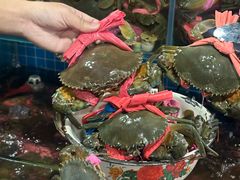 -辣螃铠盆盆蟹大排档(总店)