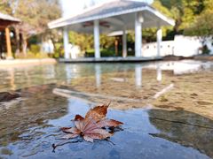 -深业半汤御泉庄温泉