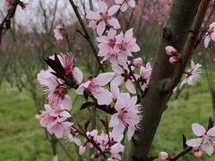 -常德桃花源景区