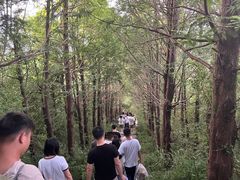 -东白山
