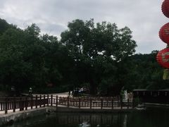 -山叶口景区