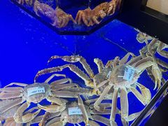 -蟹道乐(道顿堀本店)