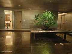 -隐溪茶馆(静安寺店)