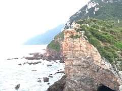 -杨梅坑