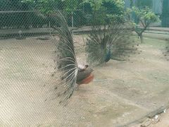 -广东花都香草世界旅游度假区