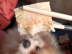 -楚鱼王·河鲜·湖北菜(华农店)
