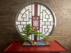 -湘桂人酒楼(西便门店)