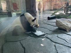 -泉州海丝野生动物世界