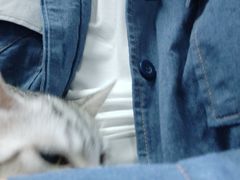 -一些柠檬一些茶(西村店)