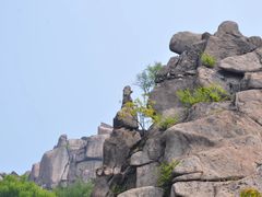 -崂山巨峰游览区