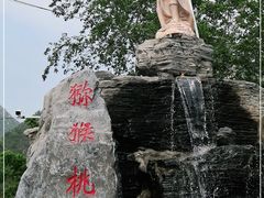 -大岭沟猕猴桃谷风景区