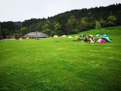 -武陵山森林公园