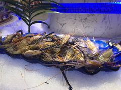 -澜悦港海鲜体验主题餐厅