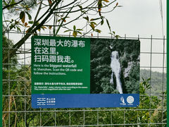 -马峦山郊野公园