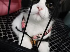 -SAH健身私教工作室(紫东店)