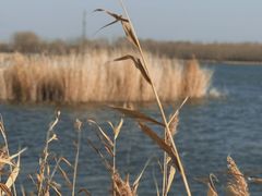 -野鸭湖国家湿地公园