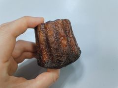 -佐敦面包铺·JORDAN BAKERY