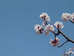 -北京凤凰岭
