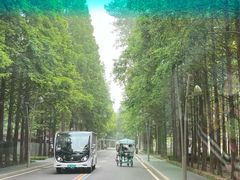 -日照海滨国家森林公园