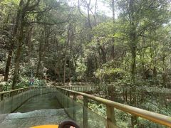 -富春桃源风景区