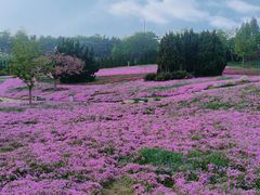 -棒棰岛宾馆景区